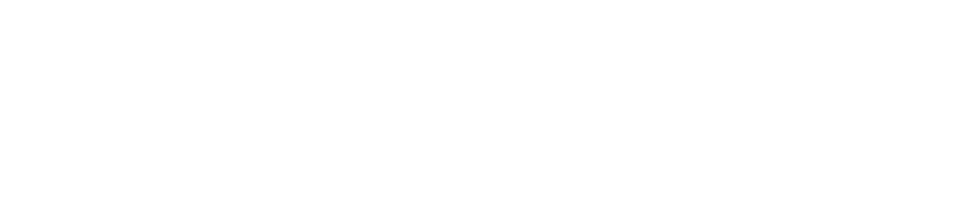Disk Ceylon